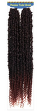 ALI TRESS SYNTHETIC BRAIDS 2X PASSION TWIST 22"