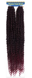 ALI TRESS SYNTHETIC BRAIDS 2X PASSION TWIST 22"